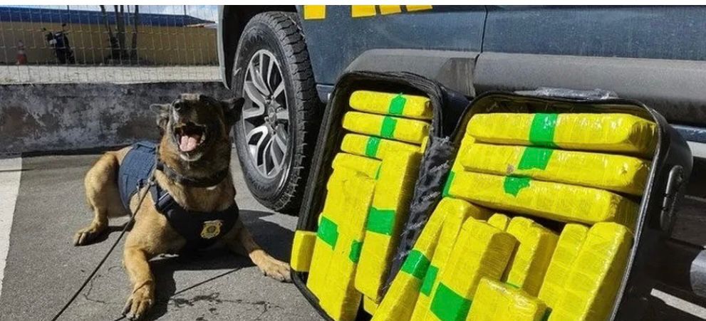 Homem é preso com 22 kg de maconha durante viagem de ônibus para Patos, no sertão paraibano